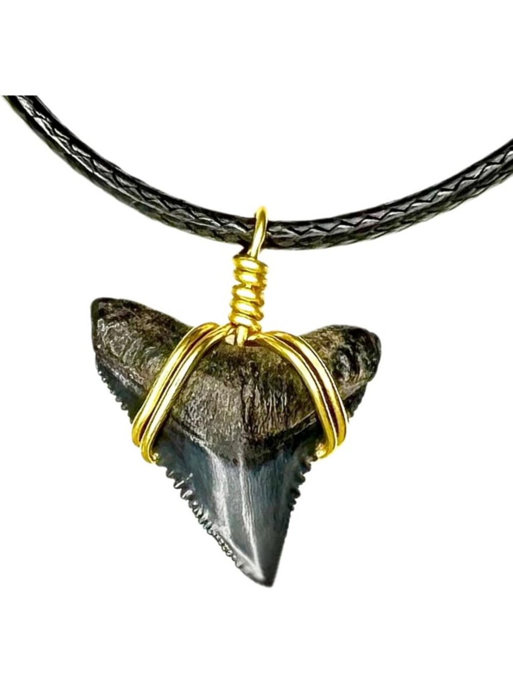 Fossilized Shark Tooth Necklace, Handmade Beach Jewelry, Unisex Choker Gift